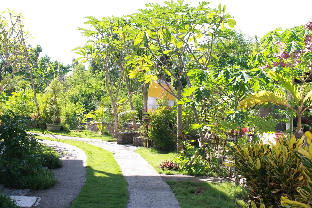Taman Padi Villa Amed Esterno foto