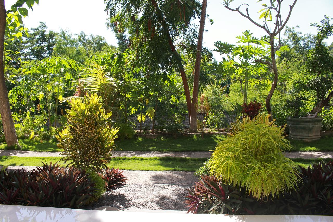 Taman Padi Villa Amed Esterno foto